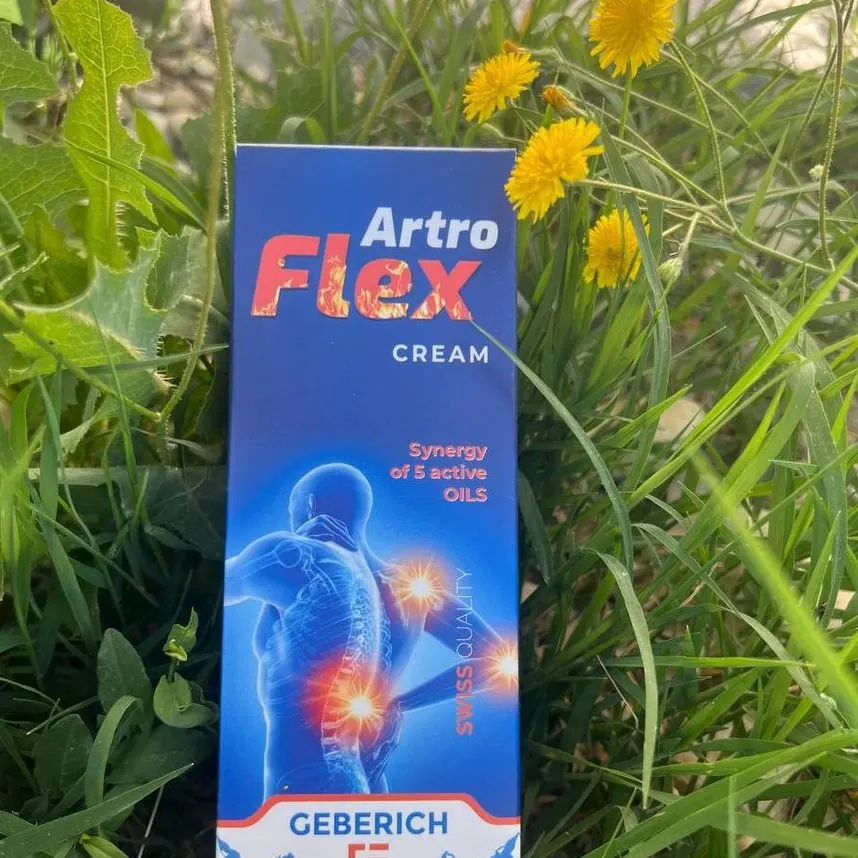 ArtroFlex — imagen 3