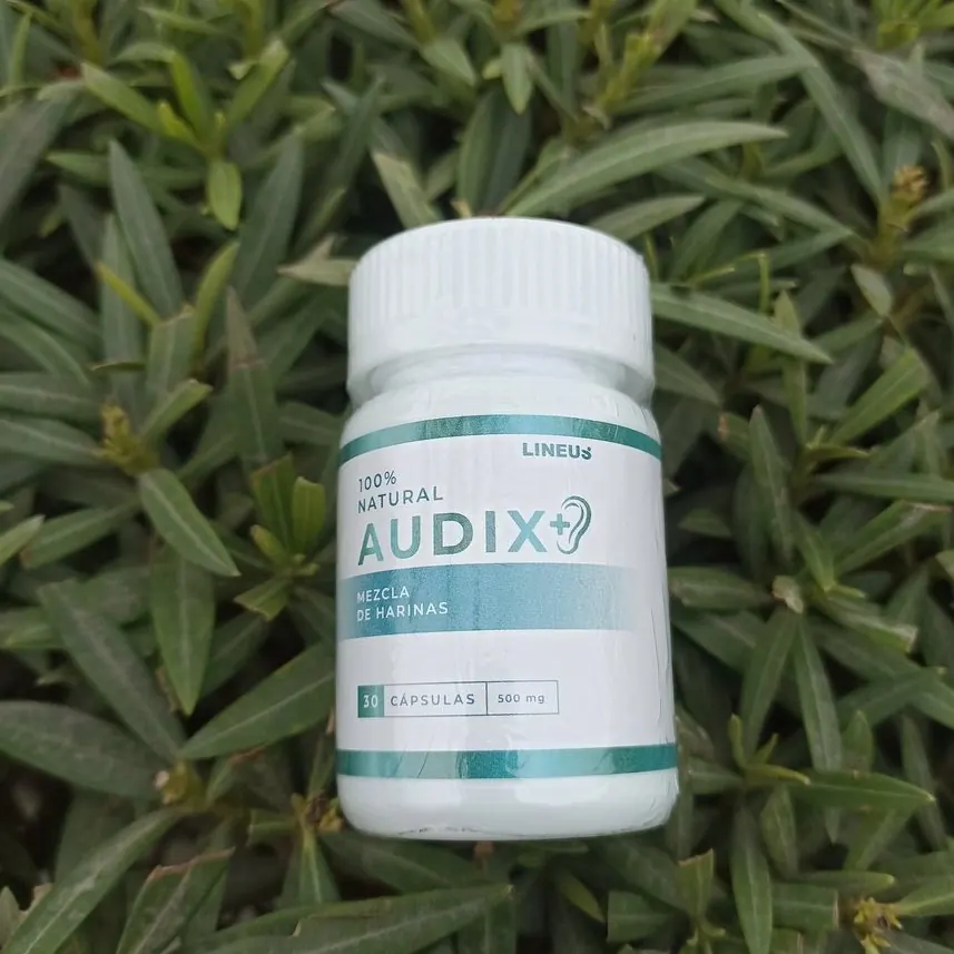 Audix+9