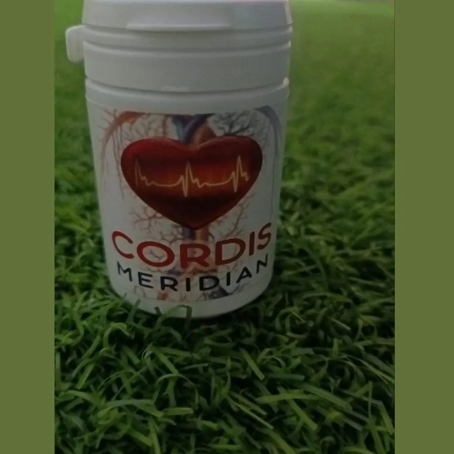 Cordis Meridian — صورة 3