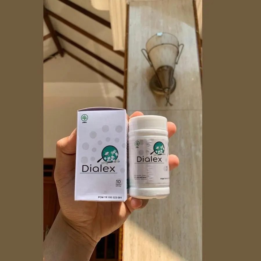 Dialex — foto 3