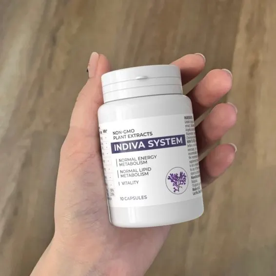 Indiva System — Bild