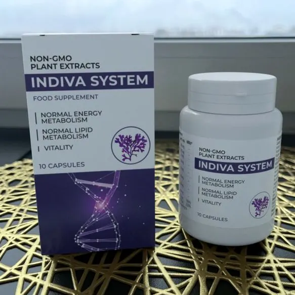 Indiva System — Bild 1