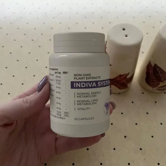 Indiva System — Bild 2