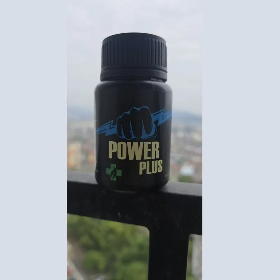 Power Plus — gambar 3