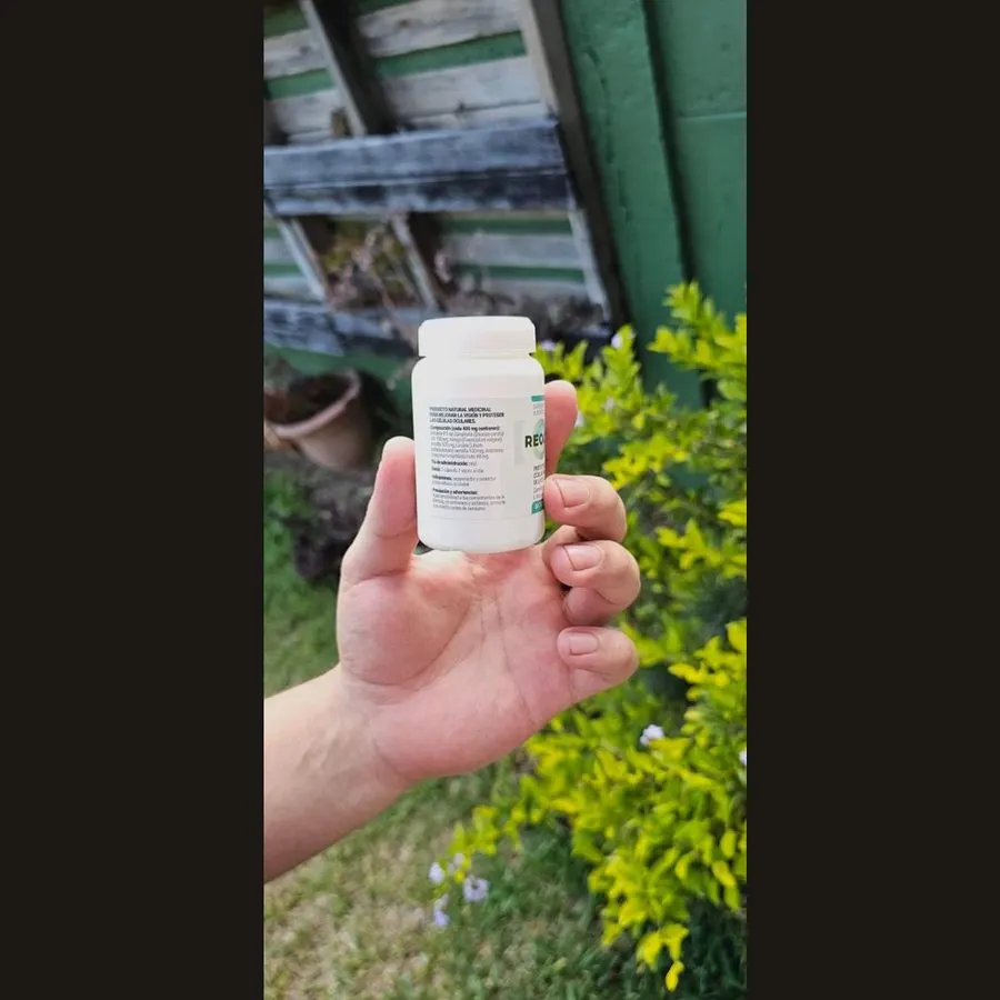 Reocuvit — foto 3