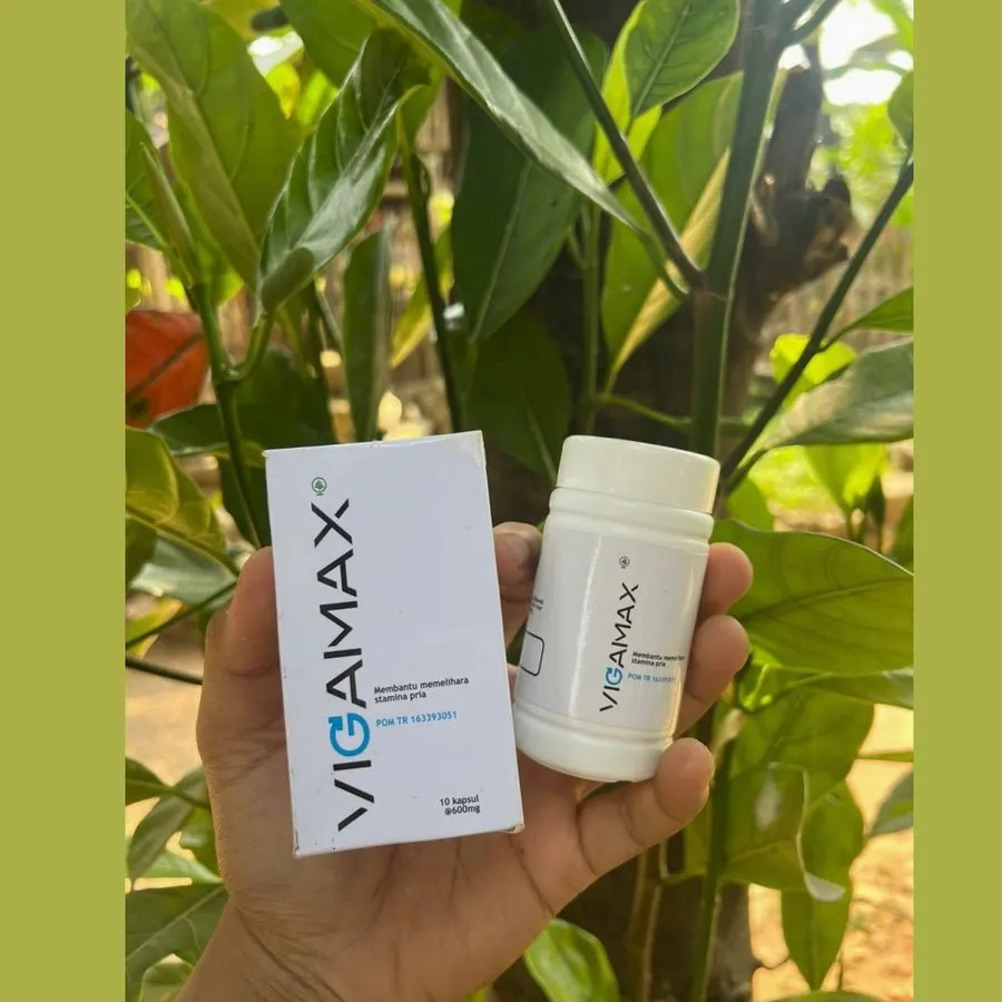 Vigamax — foto 3